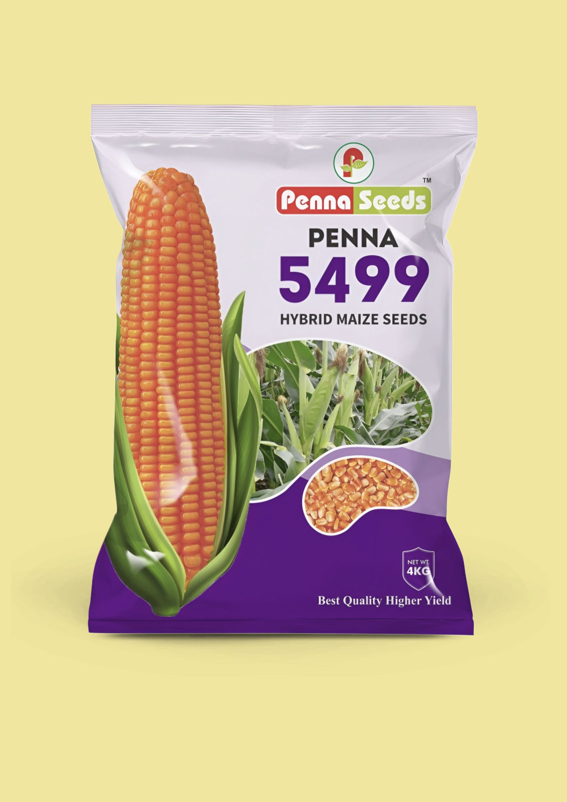 Hybrid Maize